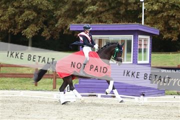 181923_mtp_03_R62_8114.JPG