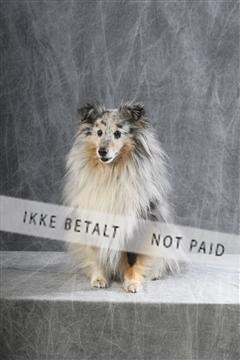 129608_le_ 01_0584.JPG