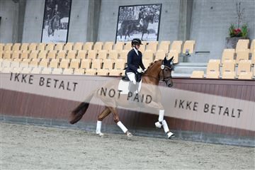 181852_mtp_01_R62_1492.JPG