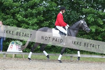 135518_ms_01_IMG_1033.JPG