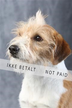 129608_le_ 01_0378.JPG