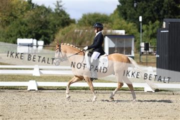 181894_mtp_05_R62_4798.JPG