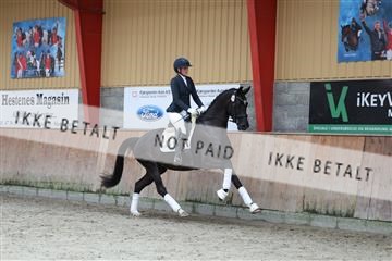 181867_mtp_02_R62_4810.JPG