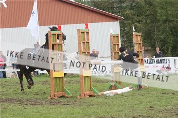 5925_ma_05_IMG_0723.JPG