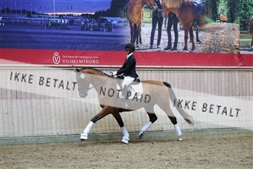 181887_mtp_05_R62_9694.JPG