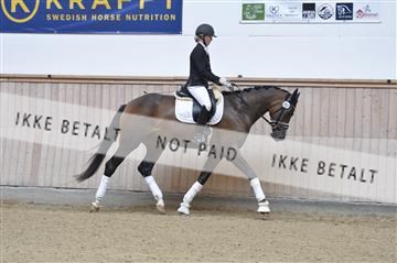 160111_nn_01__ESK1740.JPG