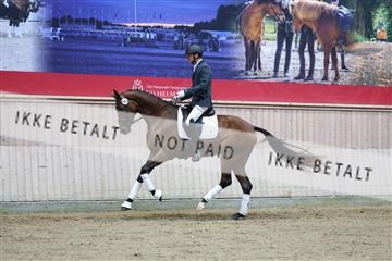 181887_mtp_04_R62_8437.JPG
