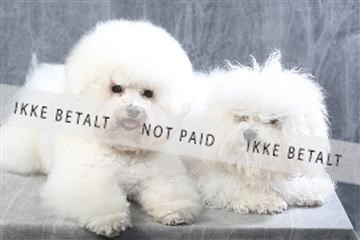 129608_le_ 01_0498.JPG