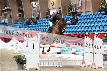 175934_avh_01_6126.JPG