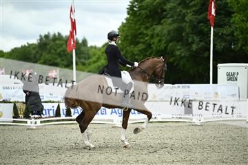 181449_kbb_03_Z090737.JPG