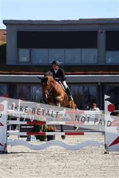 181436_avh_02_3628.JPG