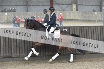 173181_kbb_01__D4S6523.JPG