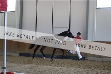 181756_mtp_01_R62_1675.JPG