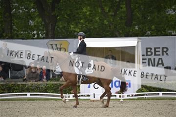 181449_kbb_04_Z094039.JPG