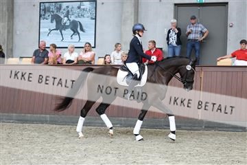 181852_mtp_05_R62_3122.JPG