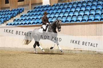 175676_avh_01_R62_4448.JPG