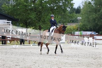 181923_mtp_01_R62_6498.JPG