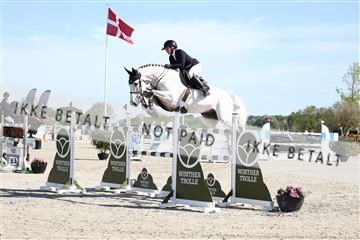 181436_avh_02_3508.JPG