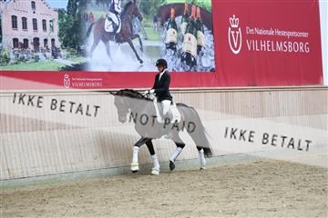 181887_mtp_04_R62_8907.JPG