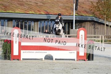 181922_avh_05_2585.JPG