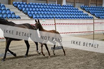 181754_kbb_01_Z094021.JPG