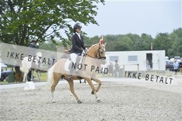 172079_kbb_01__KBB0275.JPG