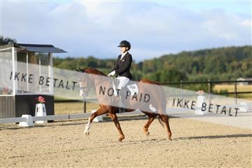 181894_mtp_04_R62_3060.JPG