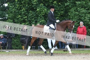 135518_ms_01_IMG_0812.JPG
