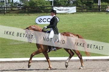 135676_sg_01_IMG_7833.JPG