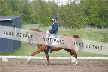 147698_nn_01_IMG_0237.JPG