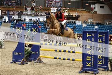 175934_avh_02_7311.JPG