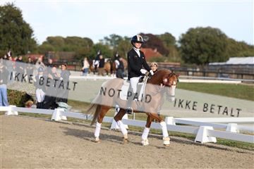 181894_mtp_05_R62_5900.JPG