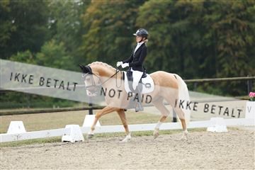 181894_mtp_04_R62_3755.JPG