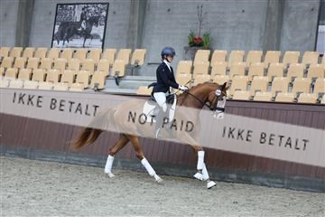 181852_mtp_04_R62_2817.JPG
