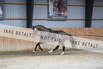 170446_abo_01_D05_0870.JPG