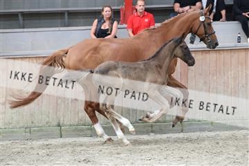 181868_mtp_03_R62_6380.JPG