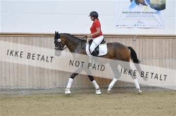 160111_nn_01__ESK1772.JPG