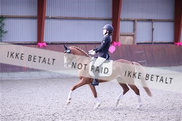 173883_mtp_01_3M5A0561.JPG