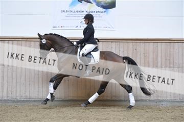 160111_nn_01__ESK1632.JPG