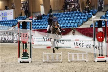 175934_avh_02_7875.JPG
