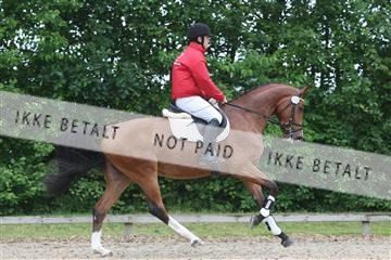 135518_ms_01_IMG_0975.JPG
