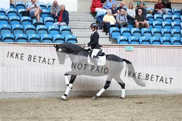 181887_mtp_02_R62_7670.JPG