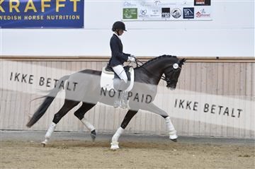 160111_nn_01__ESK1925.JPG