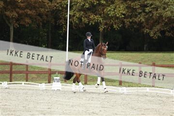 181923_mtp_03_R62_7969.JPG