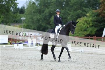 181923_mtp_01_R62_6523.JPG