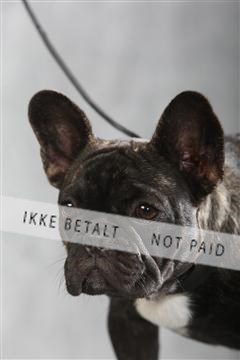 129608_le_ 01_0126.JPG