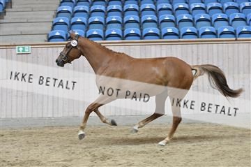 160111_nn_01__ESK2235.JPG
