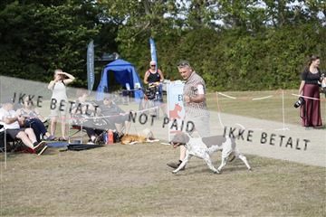 181848_kar_01__62_1166.JPG