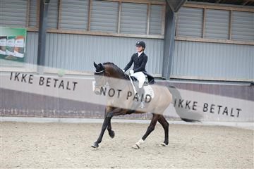 174313_mtp_01_3M5A5827.JPG