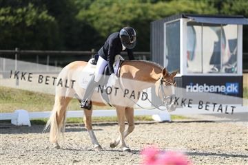 181894_mtp_05_R62_4823.JPG